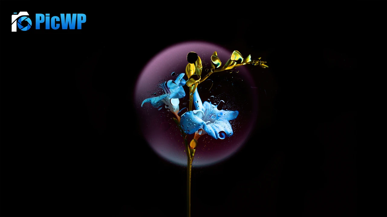 Gentian flower Blue flower 4K PC Wallpaper