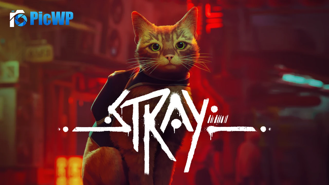 Stray PC Games 4K PC Wallpaper