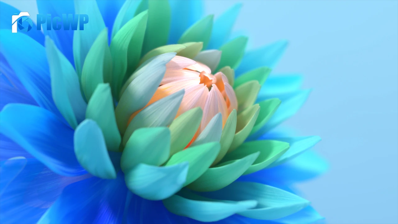 Colorful flower Blue background 4K PC Wallpaper