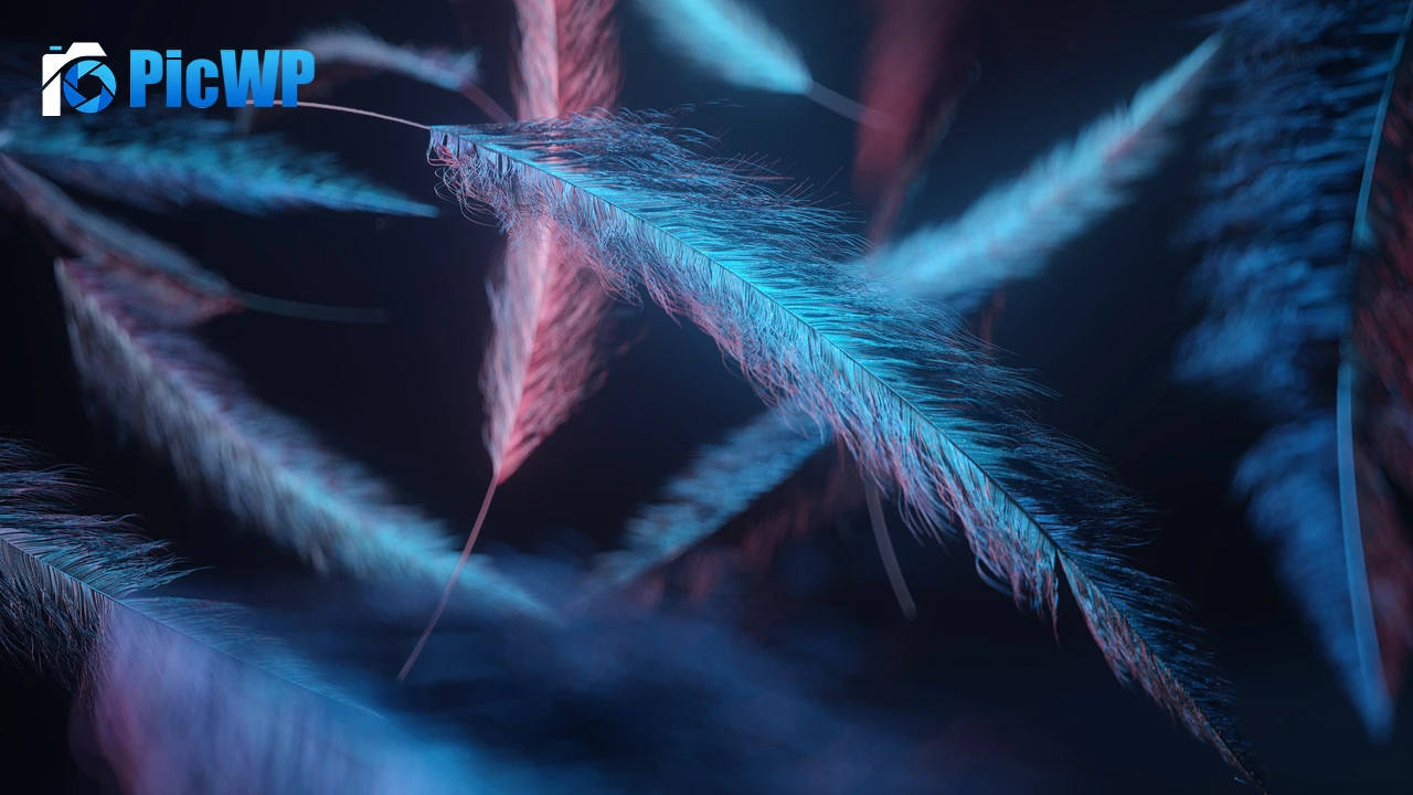Feathers Macro 4K PC Wallpaper