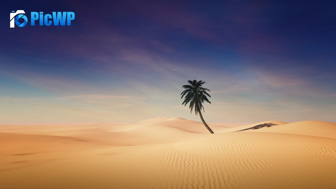 Palm tree Desert 4K PC Wallpaper
