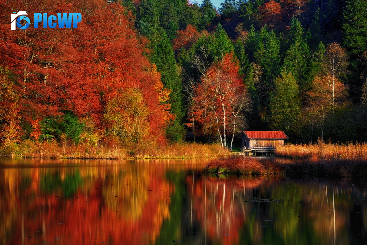 Autumn Scenery Lakeside 4K PC Wallpaper