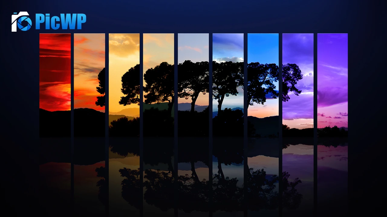 Tree Sunset 4K PC Wallpaper