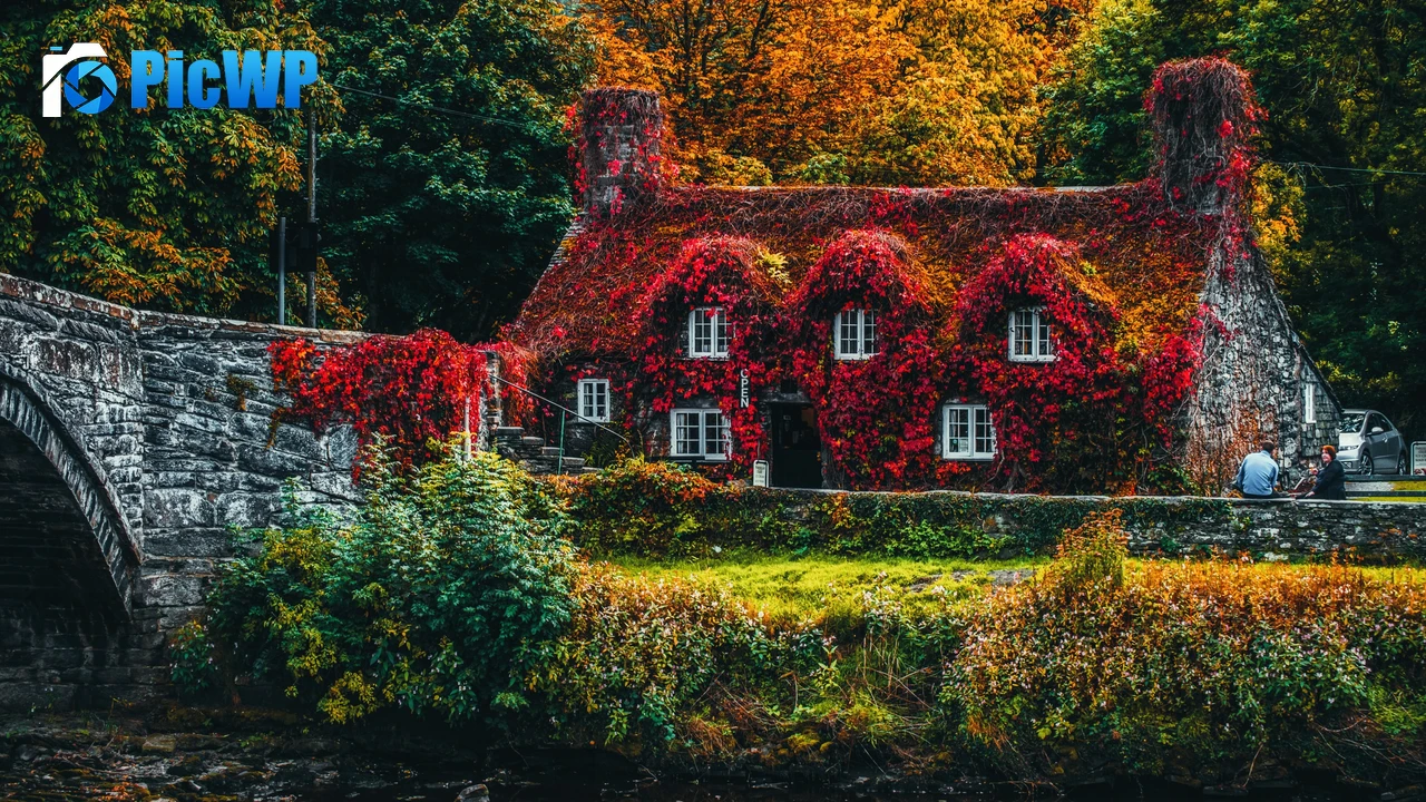 House Covered by Trees Autumn trees 4K PC Wallpaper