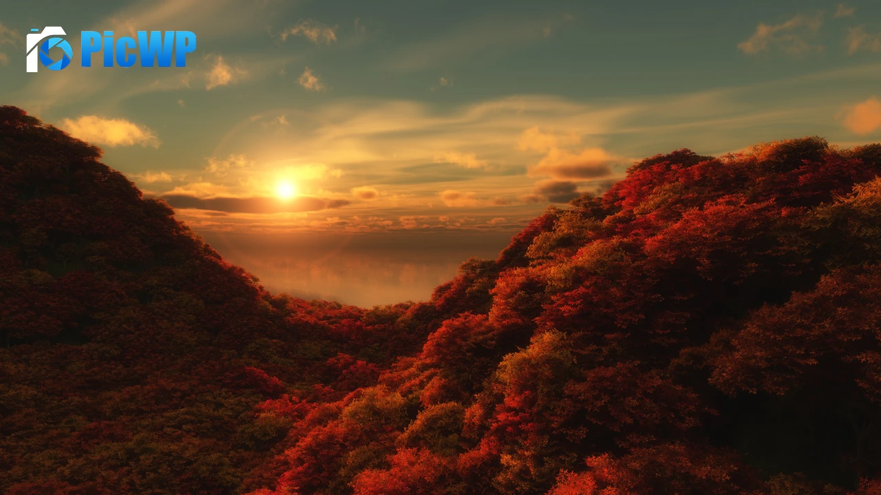Red Trees Sunrise 4K PC Wallpaper