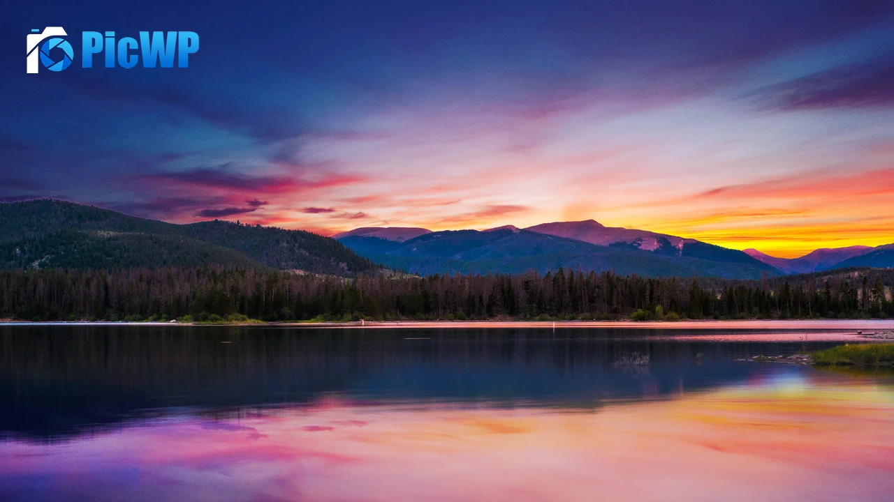 Sunset Forest 4K PC Wallpaper