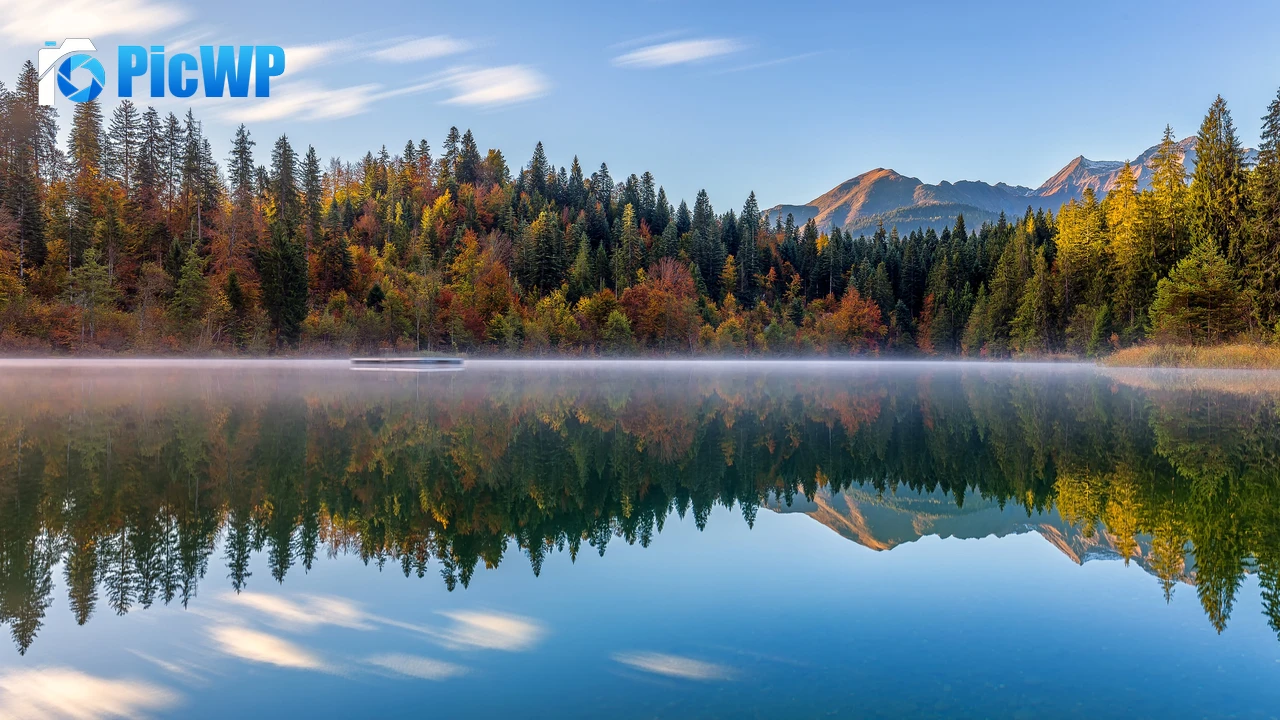 Crestasee Lake Autumn trees 4K PC Wallpaper