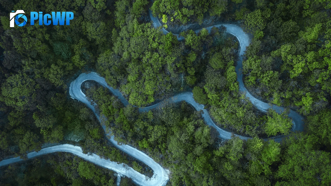 Forest Cold 4K PC Wallpaper