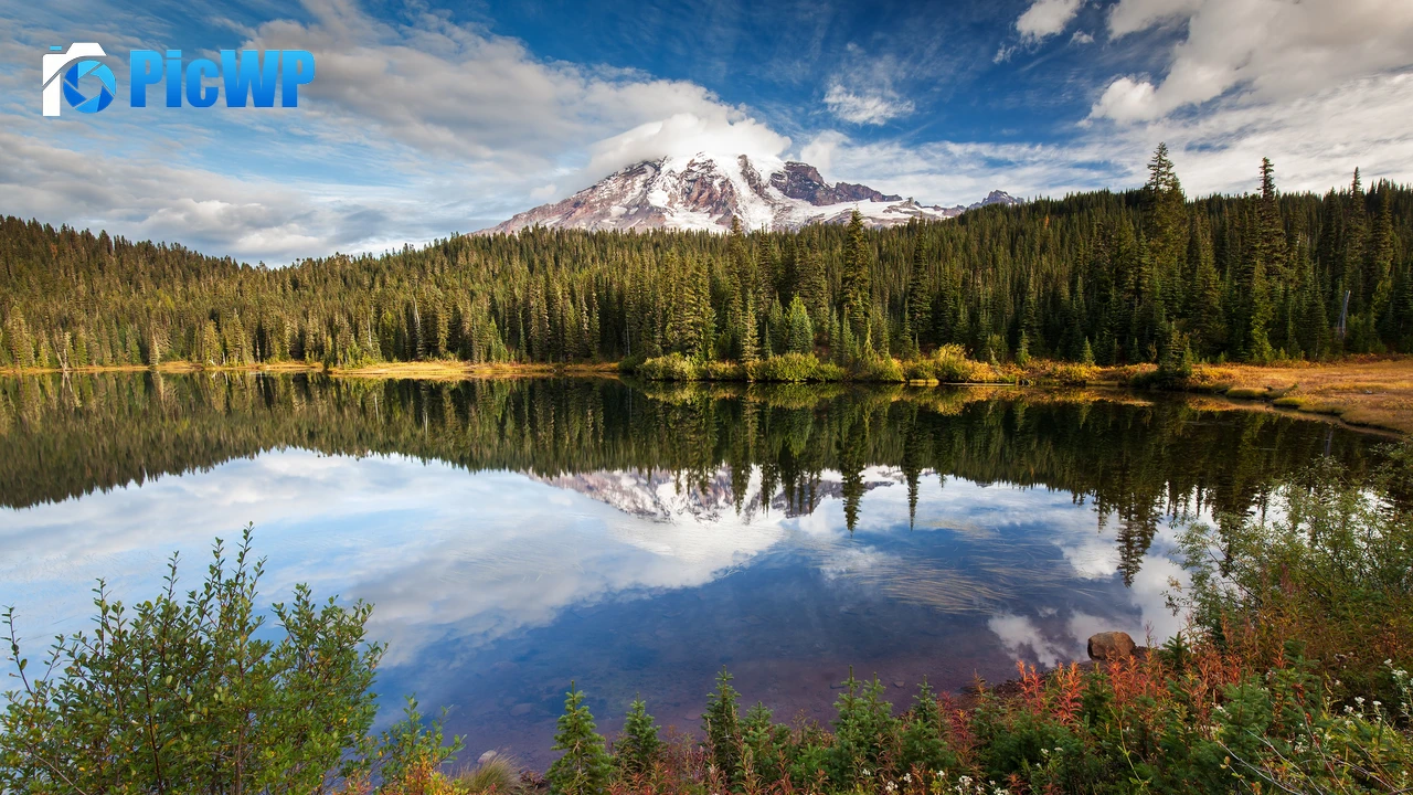 Mirror Lake Green Trees 4K PC Wallpaper