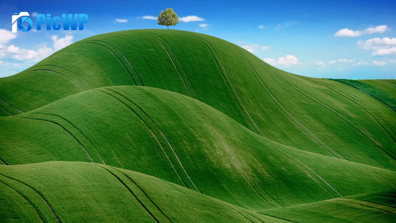 Green Meadow Countryside 4K PC Wallpaper