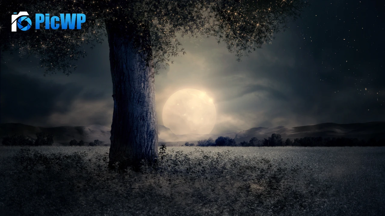 Full moon Night view 4K PC Wallpaper