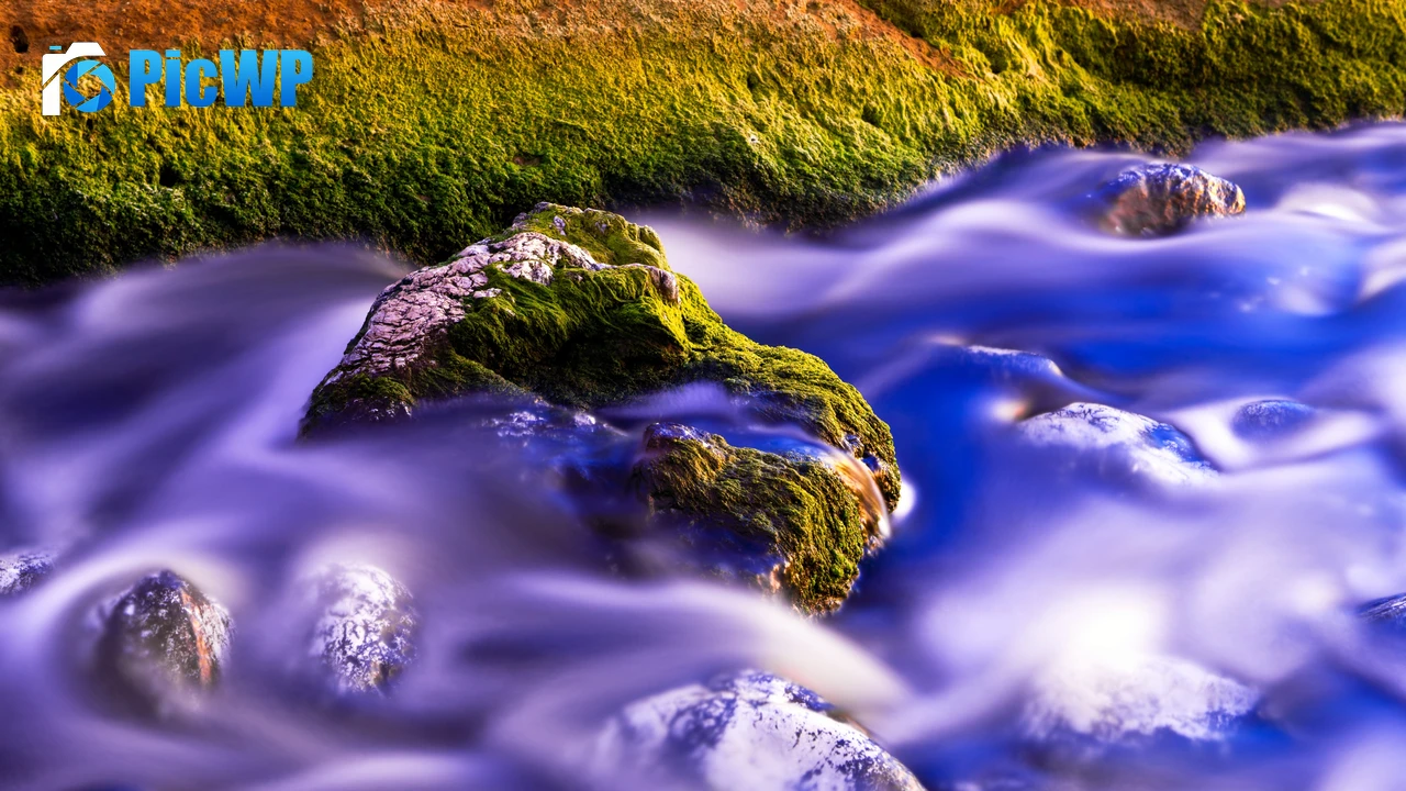 Green Moss Water Stream 4K PC Wallpaper