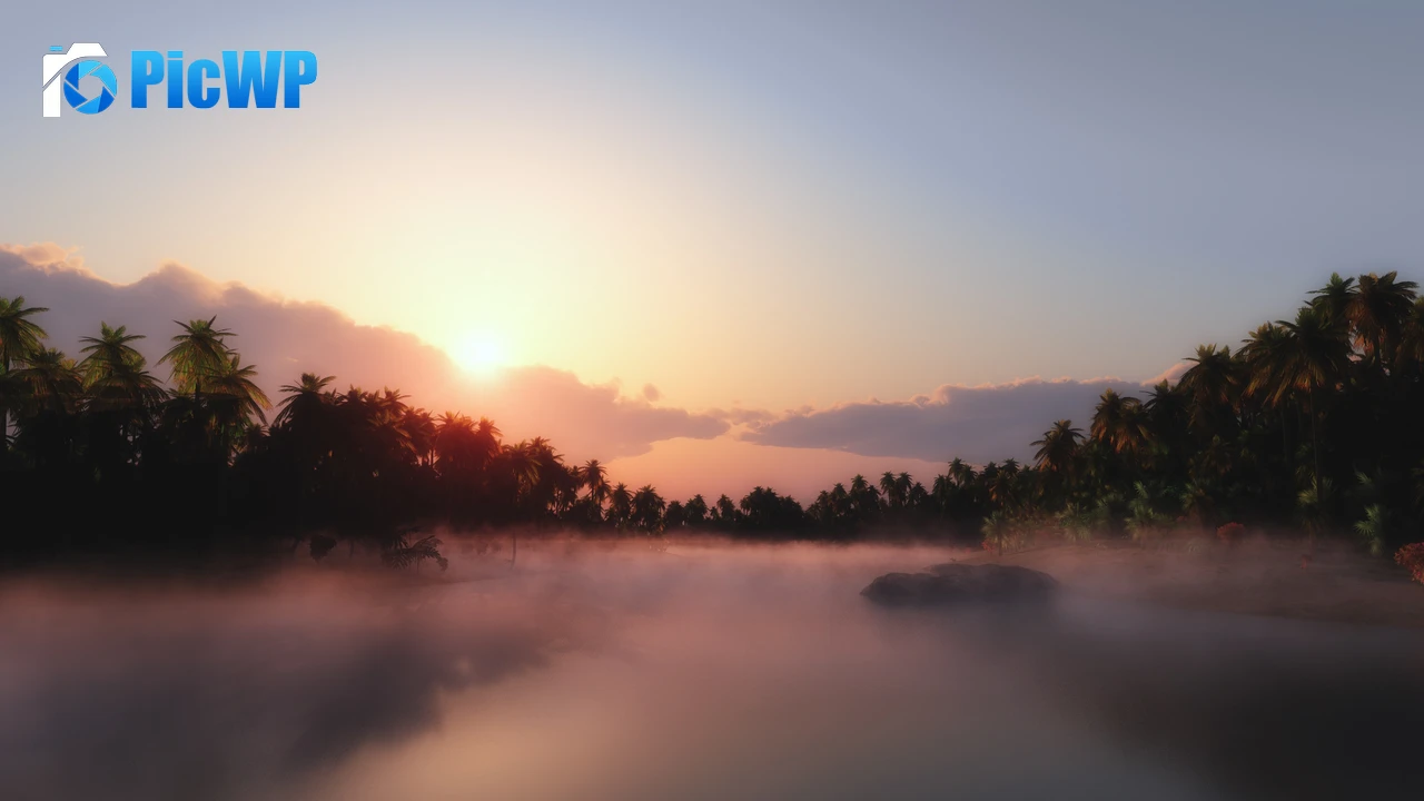 Sunrise Palm trees 4K PC Wallpaper