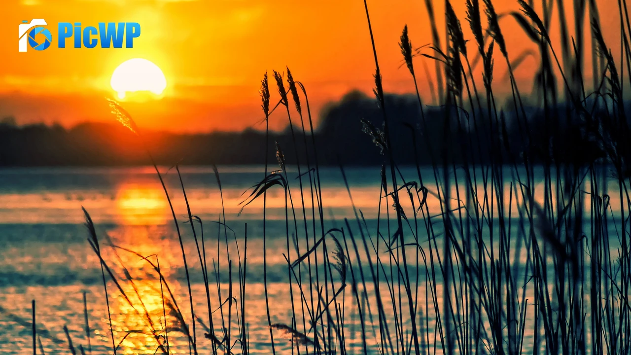 Sunsets over lakes with reeds 4K PC Wallpaper