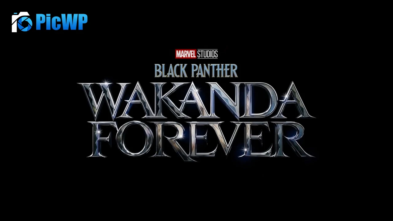 Black Panther: Wakanda Forever Black background 4K PC Wallpaper