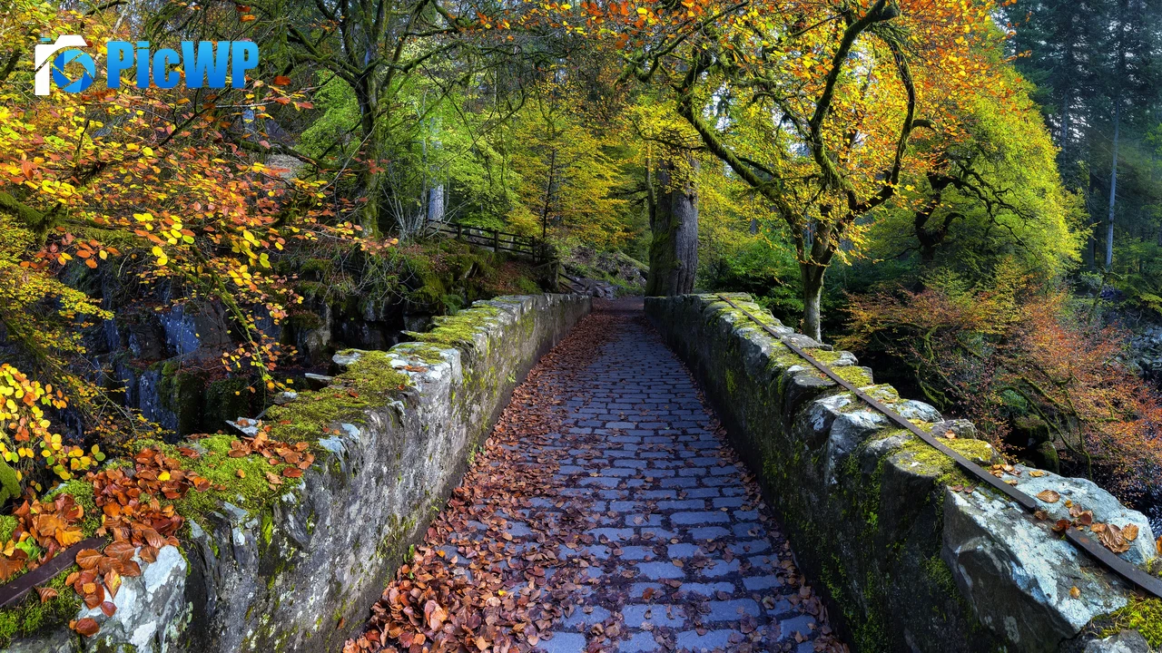 Old Bridge Over River Braan Hermitage 4K PC Wallpaper