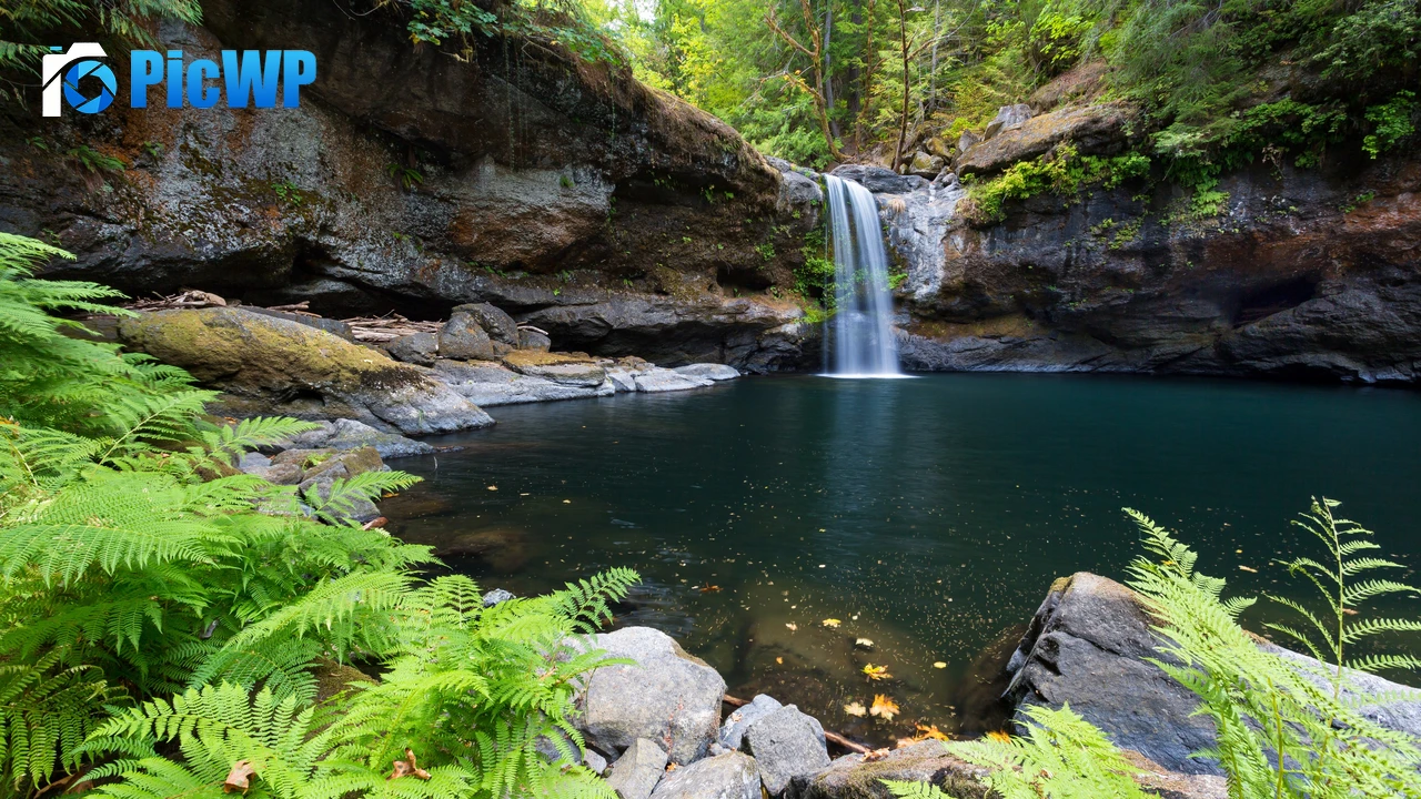 Coquille River Falls Oregon 4K PC Wallpaper
