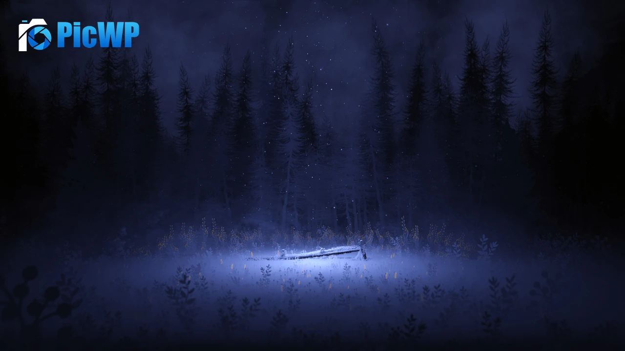 Light Night 4K PC Wallpaper