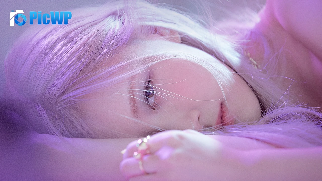 Rose On The Ground Album Cover 4K PC Wallpaper