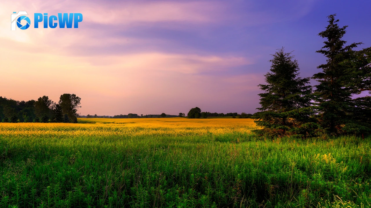 Farm Land Green Fields 4K PC Wallpaper
