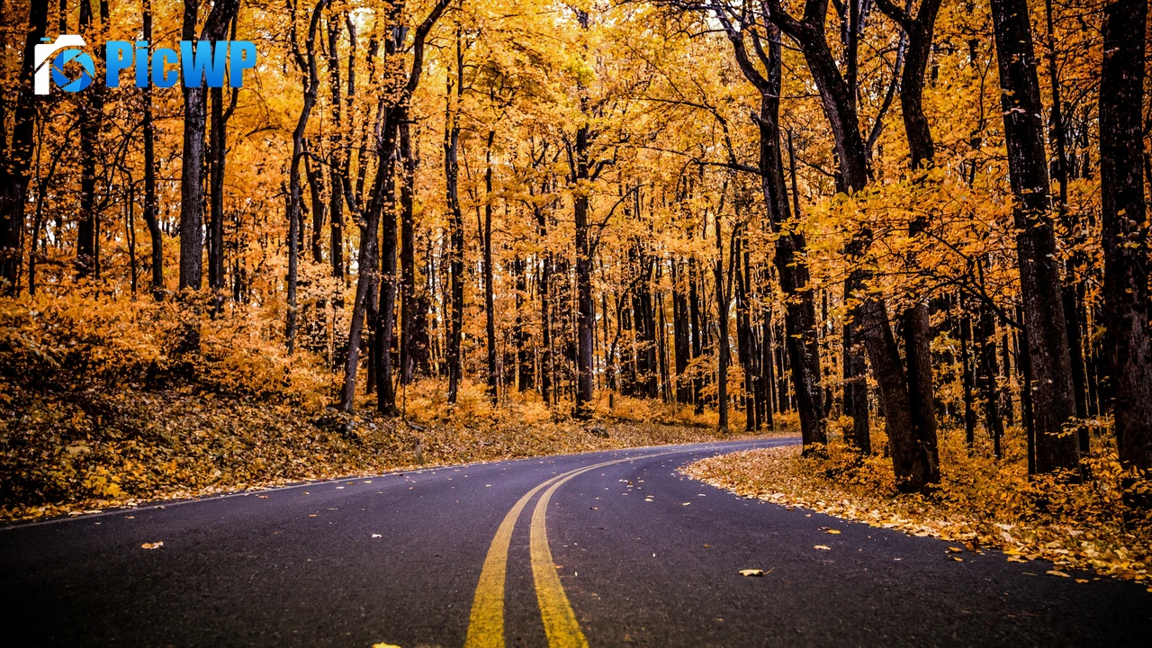 Shenandoah National Park Virginia 4K PC Wallpaper