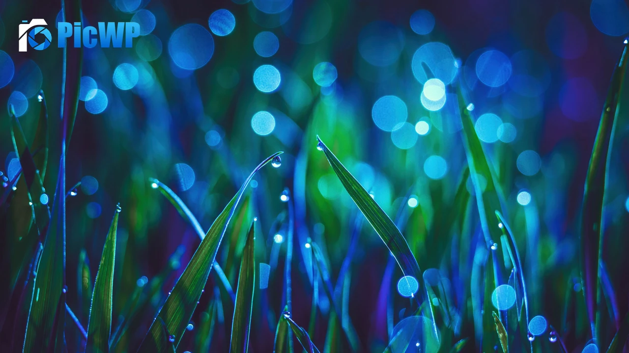 Landscape Grass 4K PC Wallpaper