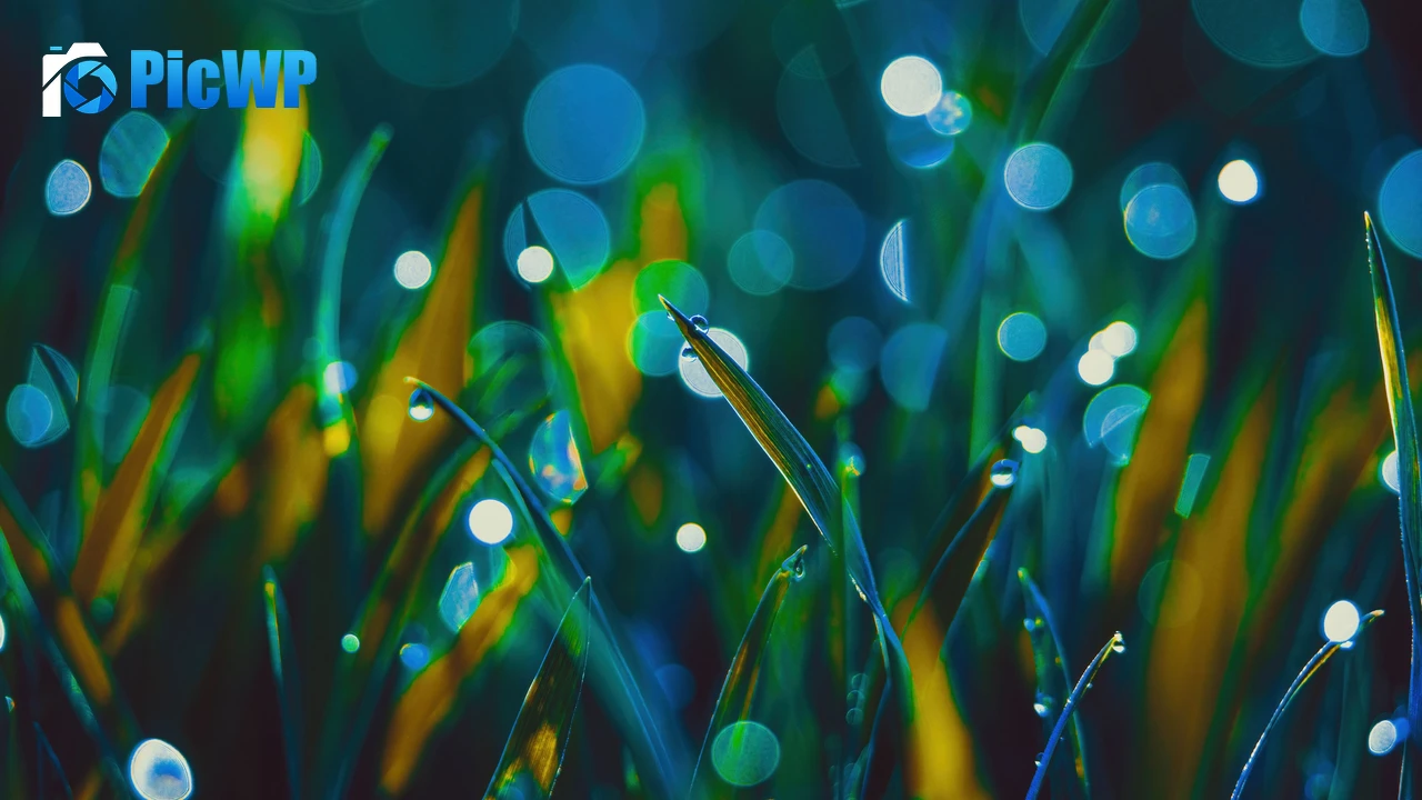 Grass Aesthetic 4K PC Wallpaper