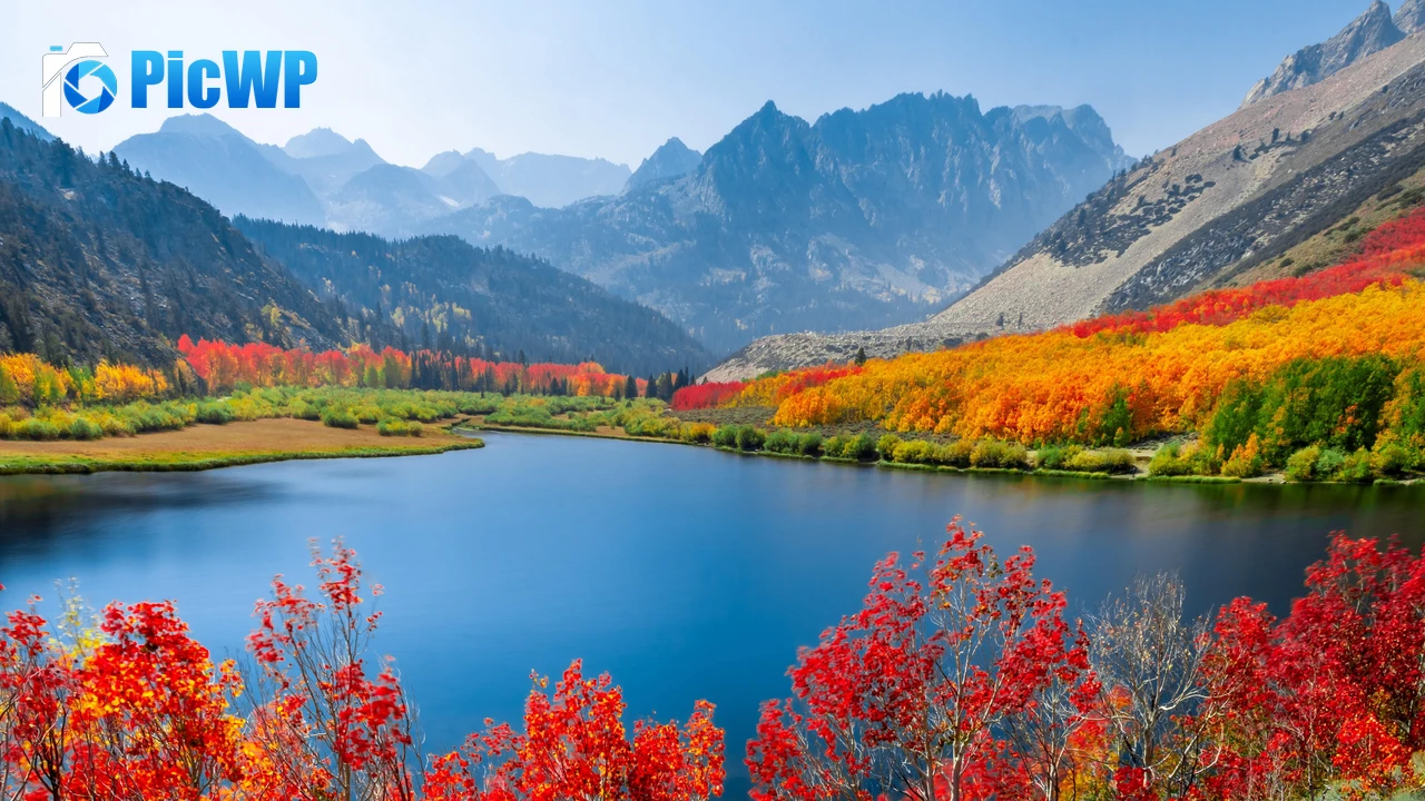 Autumn trees Lake 4K PC Wallpaper