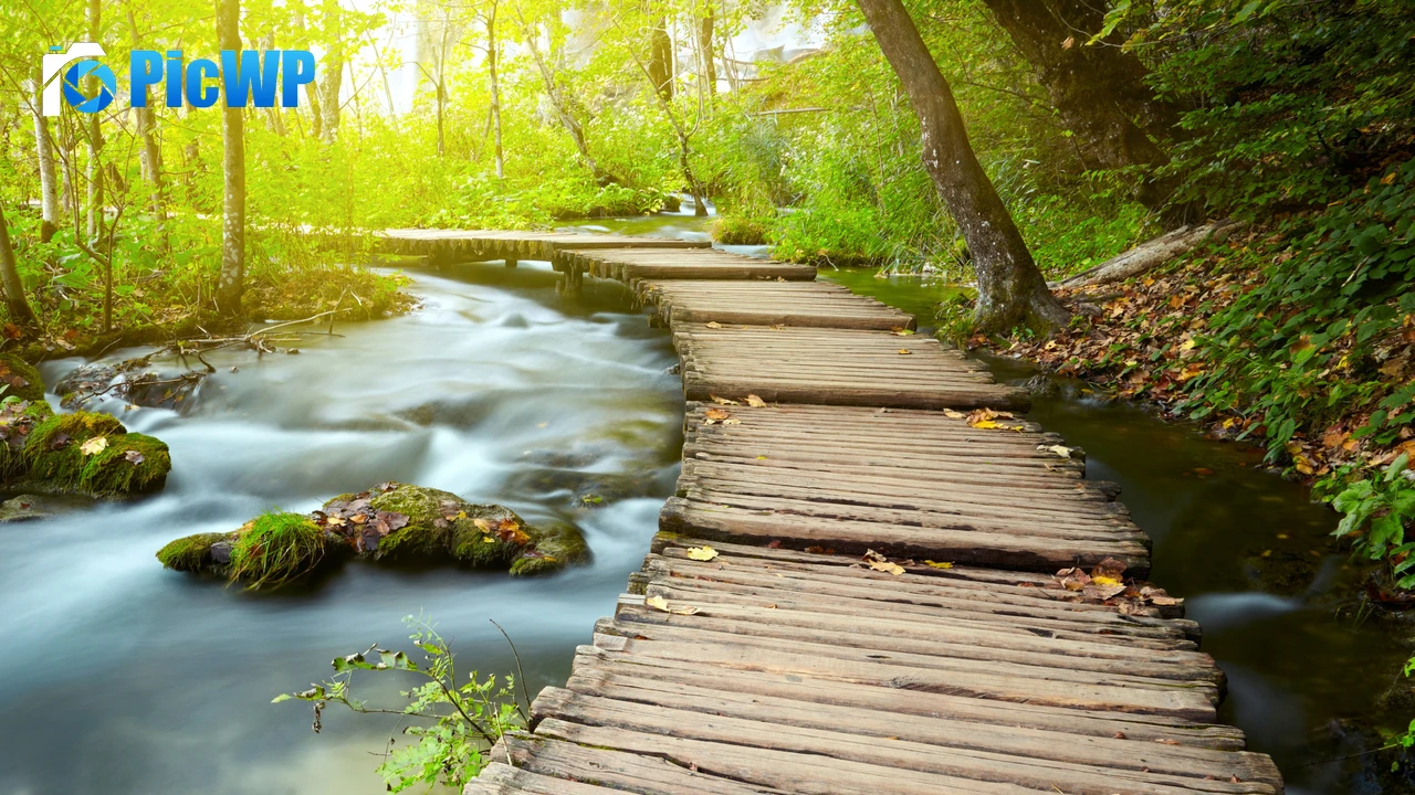 Wooden pier Forest 4K PC Wallpaper