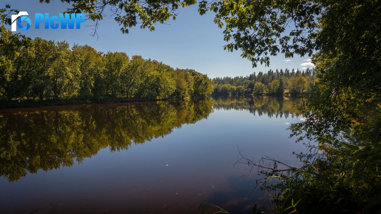 Androscoggin River Trees 4K PC Wallpaper