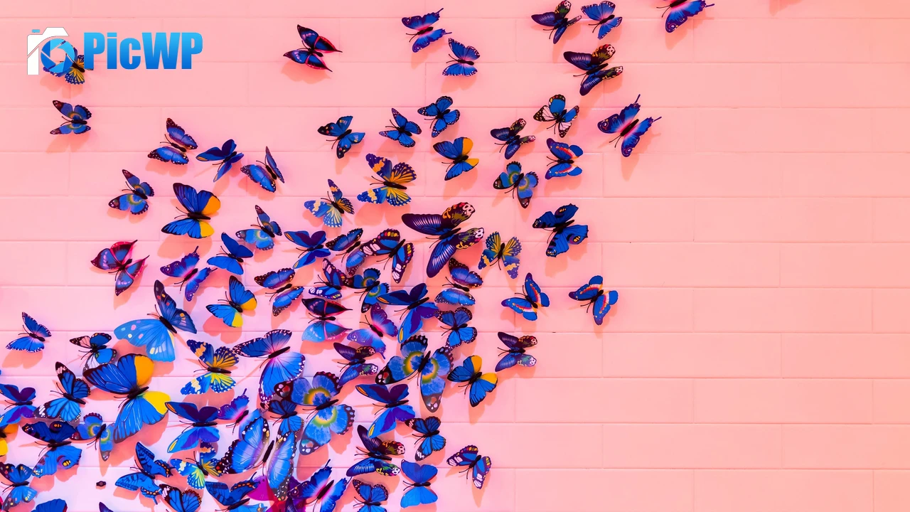 Blue butterfly Pink background 4K PC Wallpaper