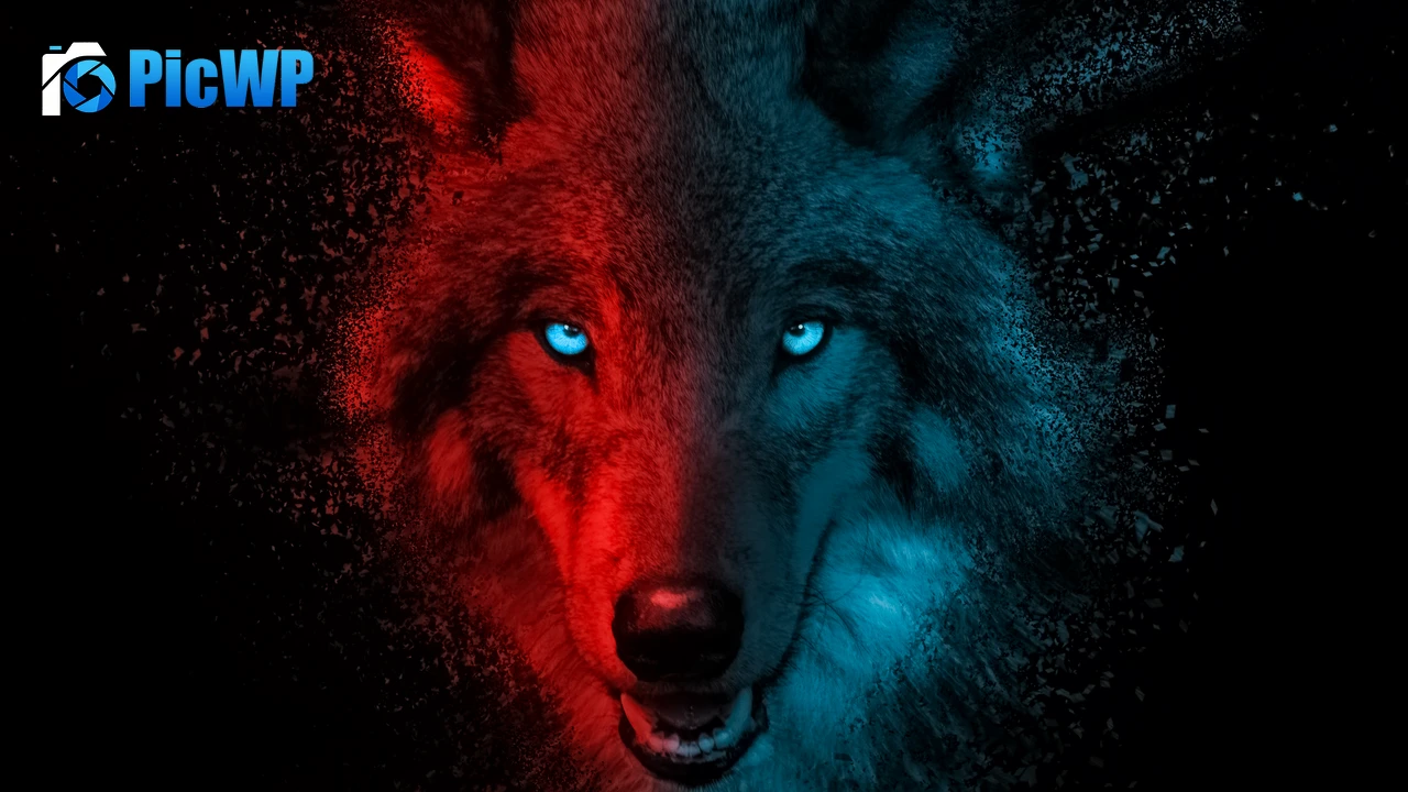 Wolf Scary 4K PC Wallpaper