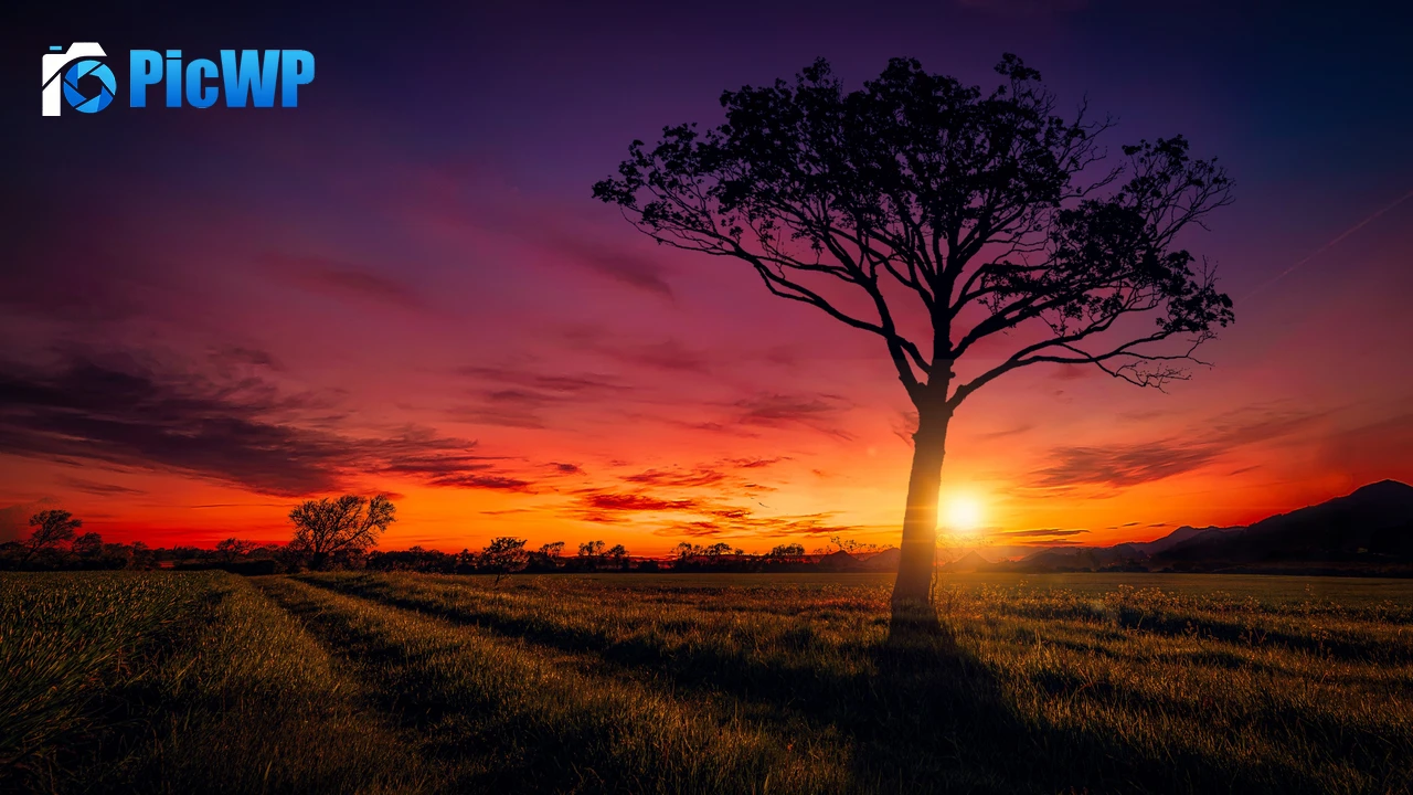 Sunset Orange sky 4K PC Wallpaper