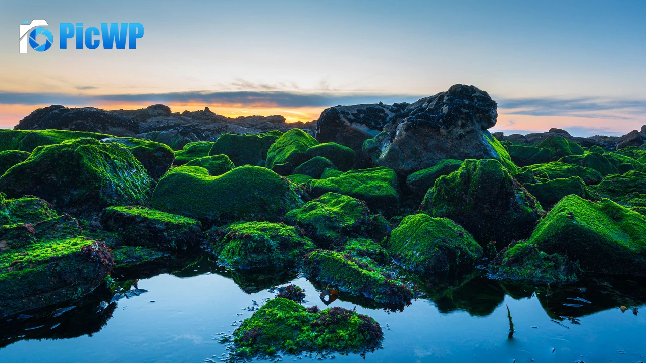Seashore Green Rocks 4K PC Wallpaper