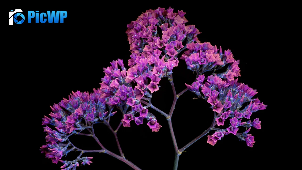 Pink flowers macOS Mojave 4K PC Wallpaper