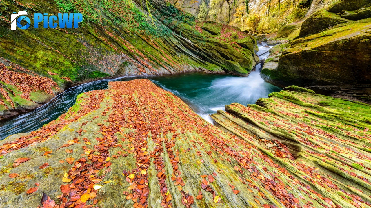 River Autumn 4K PC Wallpaper