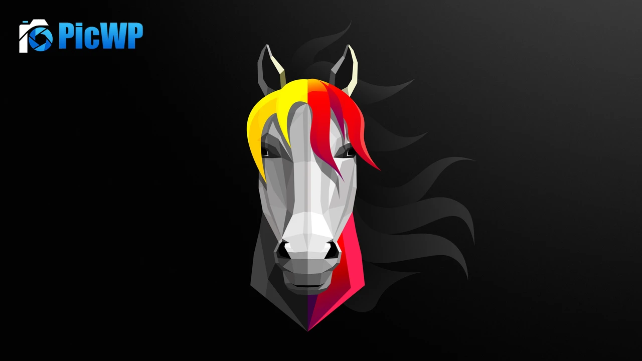 Horse Black background 4K PC Wallpaper