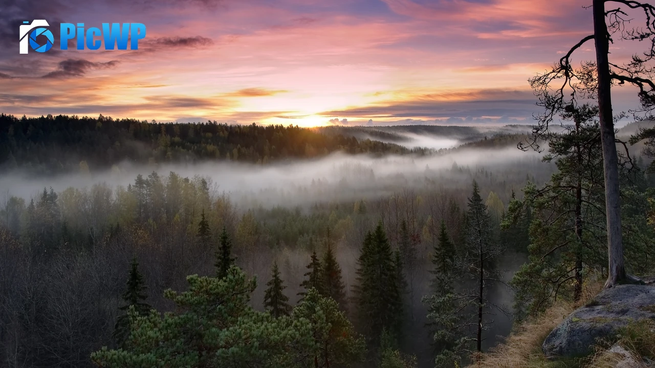 Noux National Park Finland 4K PC Wallpaper