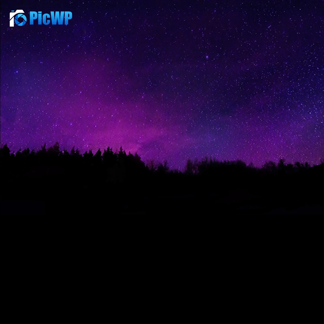 Trees Silhouette 4K Fold Wallpaper