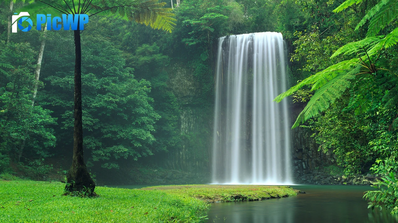 Millaa Millaa Falls Australia 4K PC Wallpaper