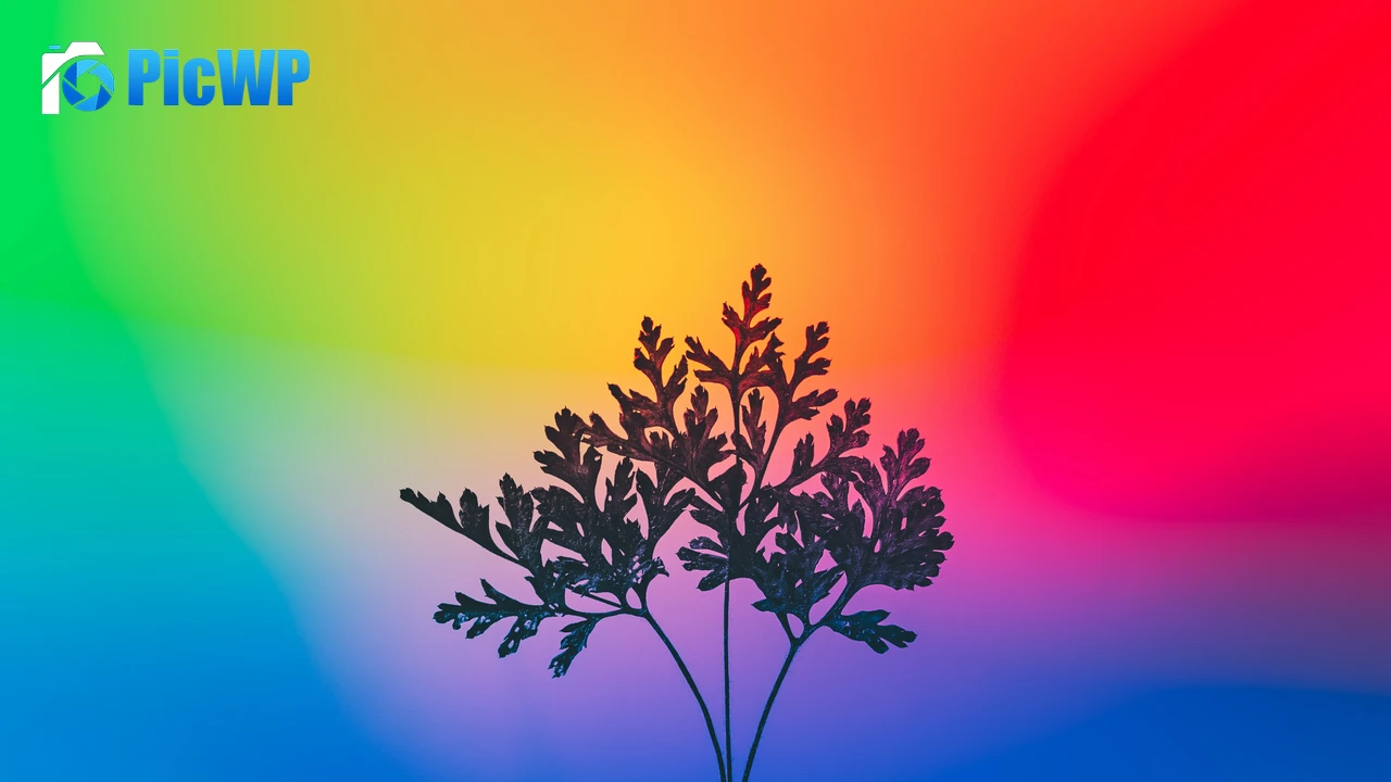 Herbal plant Gradient background 4K PC Wallpaper