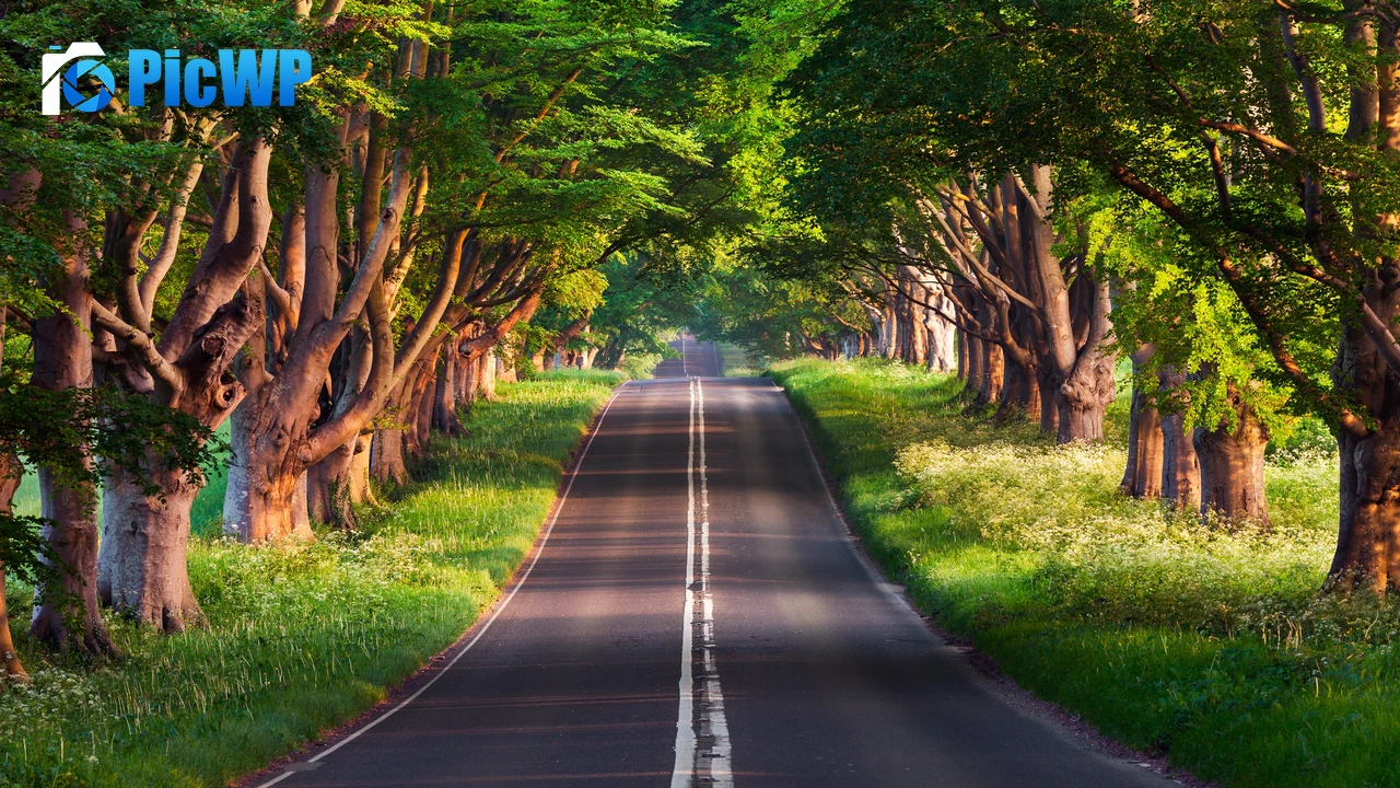 Blandford Road Empty Road 4K PC Wallpaper