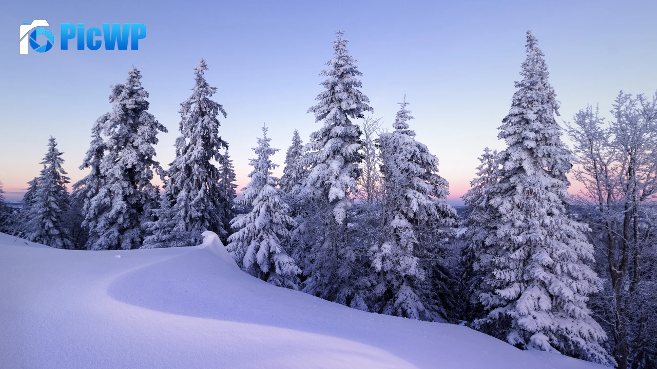 Winter Snow 4K PC Wallpaper