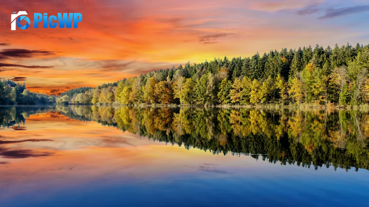 Forest Afterglow 4K PC Wallpaper
