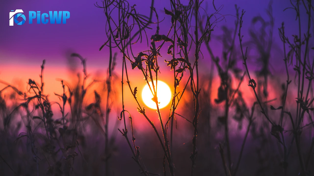 Sunrise Silhouette 4K PC Wallpaper