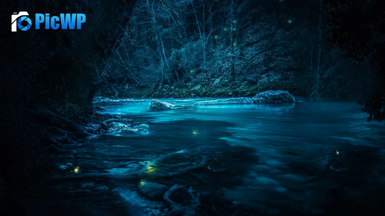 Forest River 4K PC Wallpaper