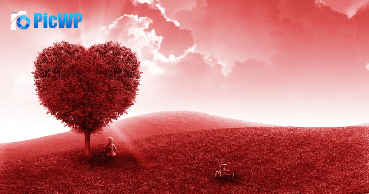 Landscape Heart tree 5K PC Wallpaper