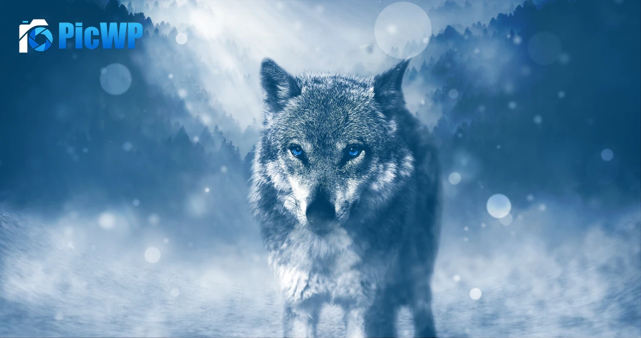 Wolf Predator 5K PC Wallpaper