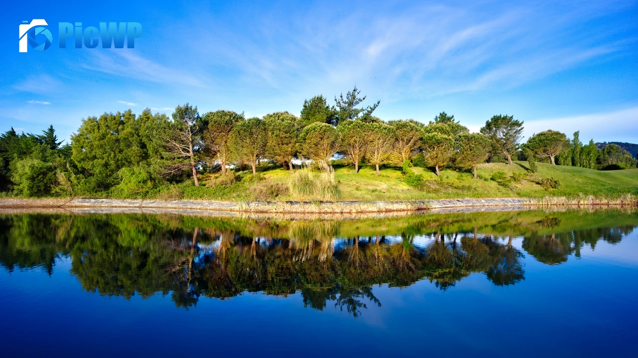 Green Trees Blue Sky 4K PC Wallpaper