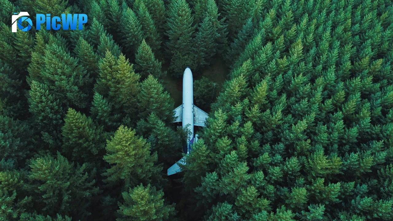 Airplane Green Trees 4K PC Wallpaper